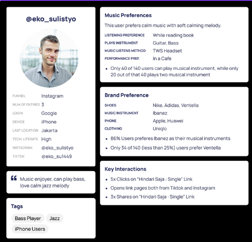 Detailed user profile analytics for @eko_sulistyo showing music preferences, brand preferences, and key interactions
